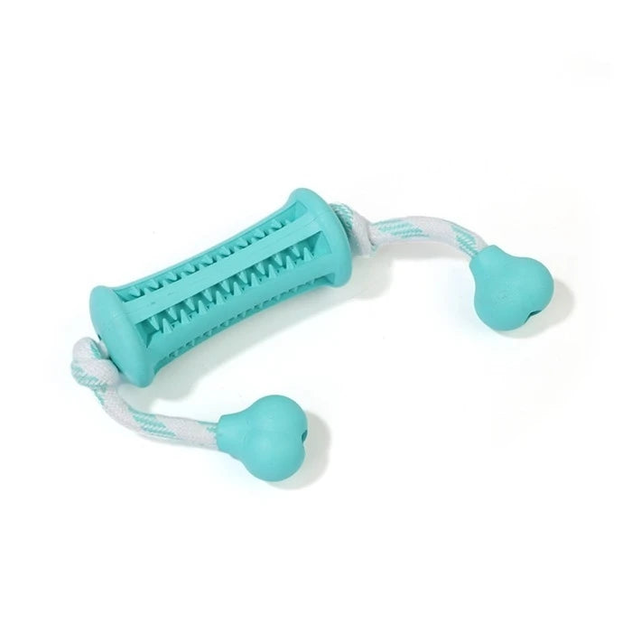DENTAL BARRA CON CUERDA - SNACK