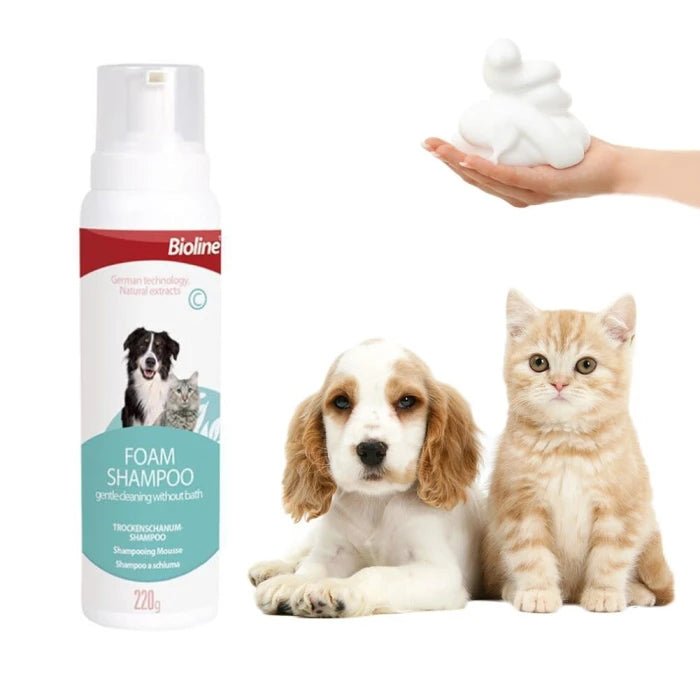 Bioline Dry Foam Shampoo (Espuma seca) - Pethome