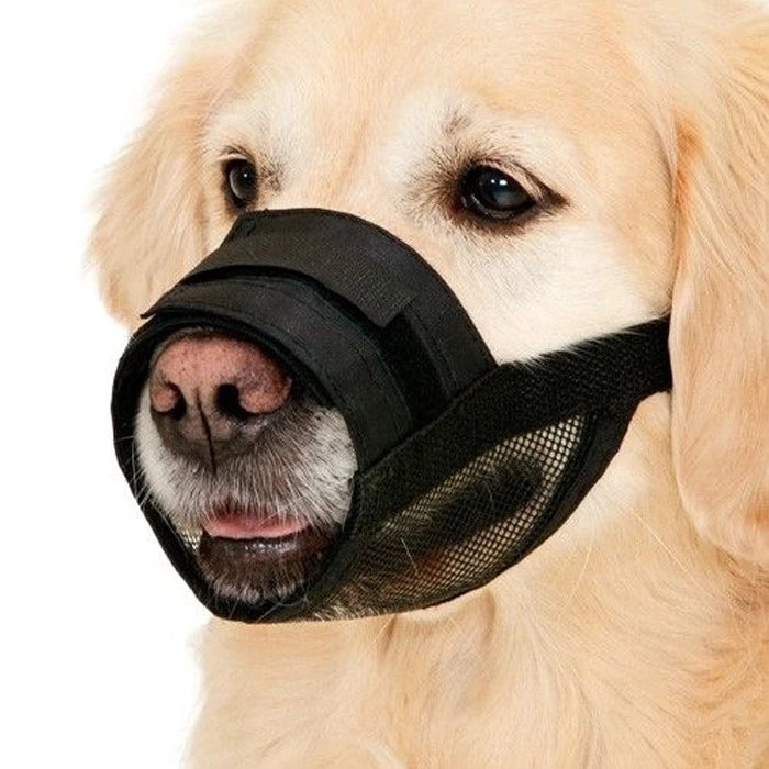 Bozales De Nylon Con Ajuste De Velcro