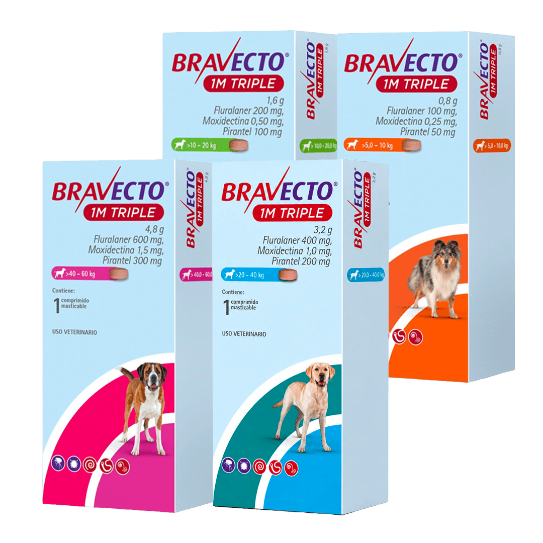 Bravecto 1M Triple Perro - Pethome