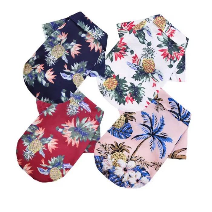 CAMISA GUAYABERA DISEÑOS VERANO