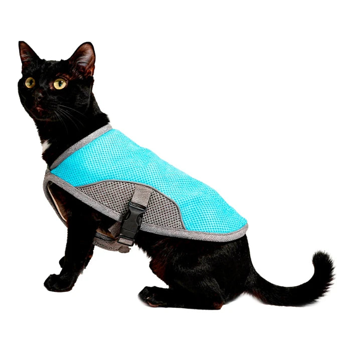 Capa Enfriamiento Azul para perros - L