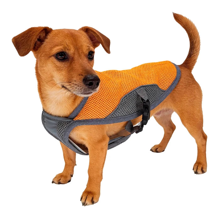 Capa Enfriamiento Naranja para perros - L