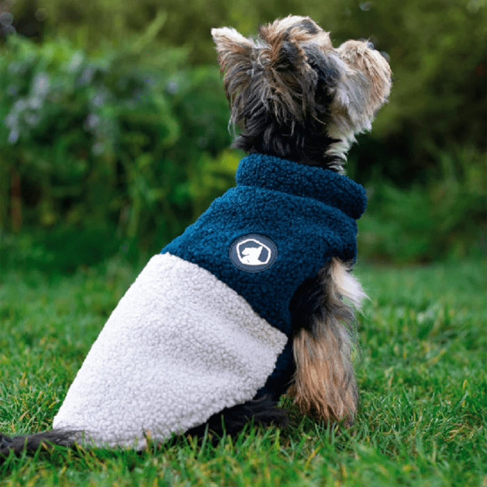 Chaqueta de chiporro colores para perros y gatos - Azul - Pethome