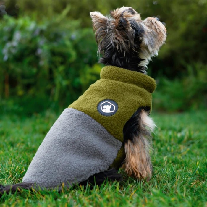Chaqueta de chiporro colores para perros y gatos - Verde - Pethome