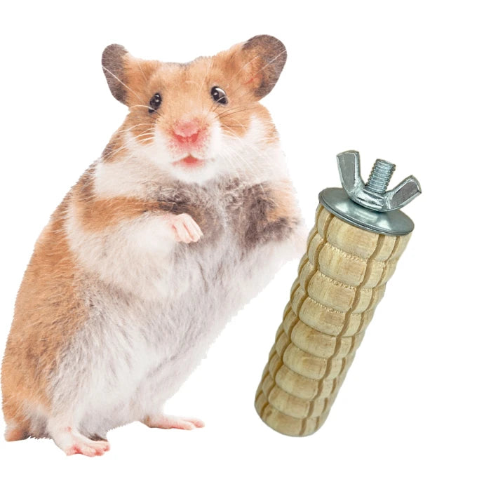 Choclo de Madera pequeño para Roer para Mascotas Pequeñas - imagen 1