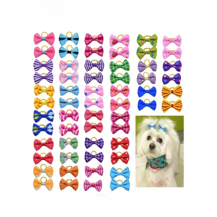 Coles de Lazitos para Mascotas - imagen 1