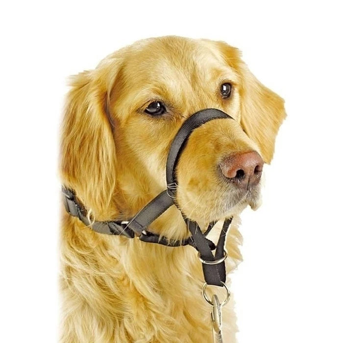 Collar anti-tirones
