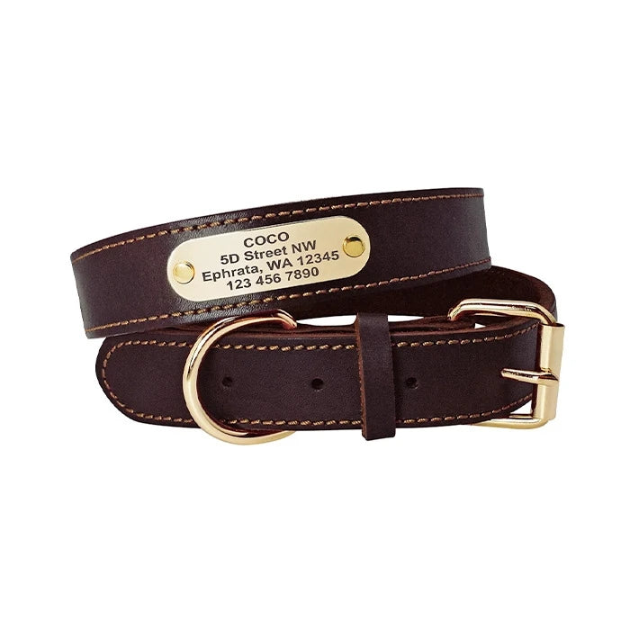 Collar Eco Cuero con Placa para Perro - S