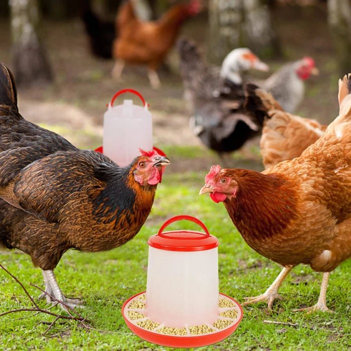 Comedero para aves Granja o pajareras - Pethome