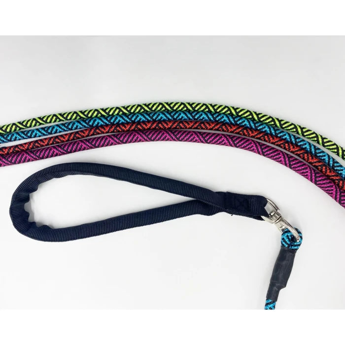 Correa con Collar de Adiestramiento y Mango Ergonómico