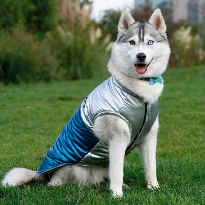 Cortavientos para perros y gatos - Azul con Plateado - Pethome