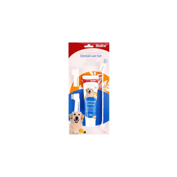 DENTAL HYGIENE KIT SET ORANGE