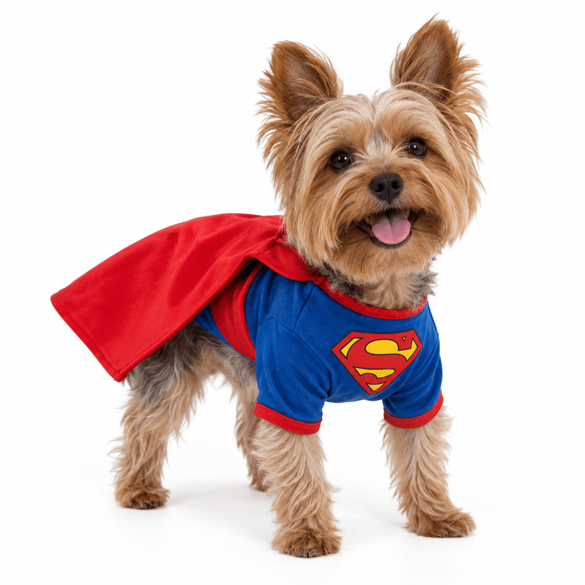 Disfraz Superman para perros - Pethome