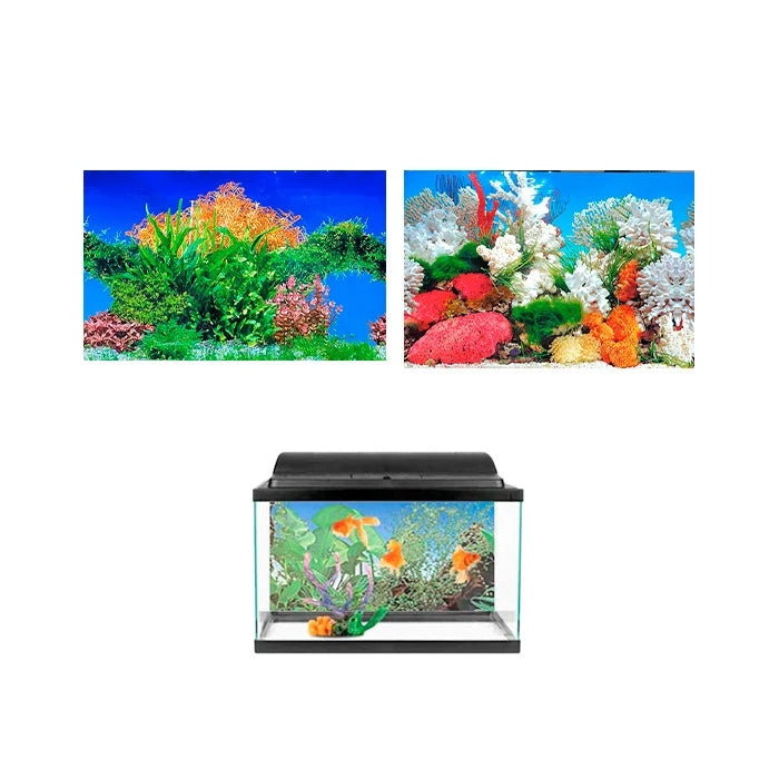 Fonde de Acuario doble - imagen 1