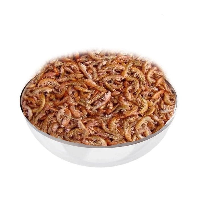 Gammarus Colitas de Camarón - Pethome