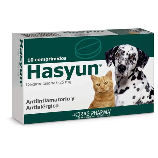 HASYUN 10 COMP
