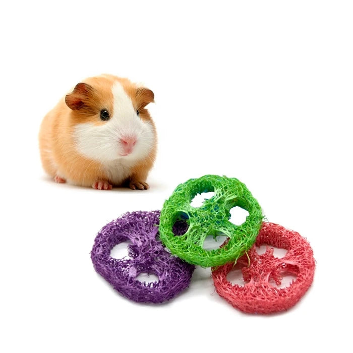 Juguete Rodajas De Loofah - imagen 1