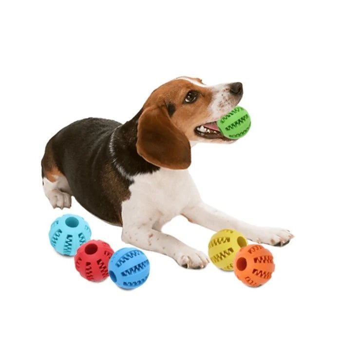 Juguete Warrior Bola Con Dientes Para Perros - Pethome