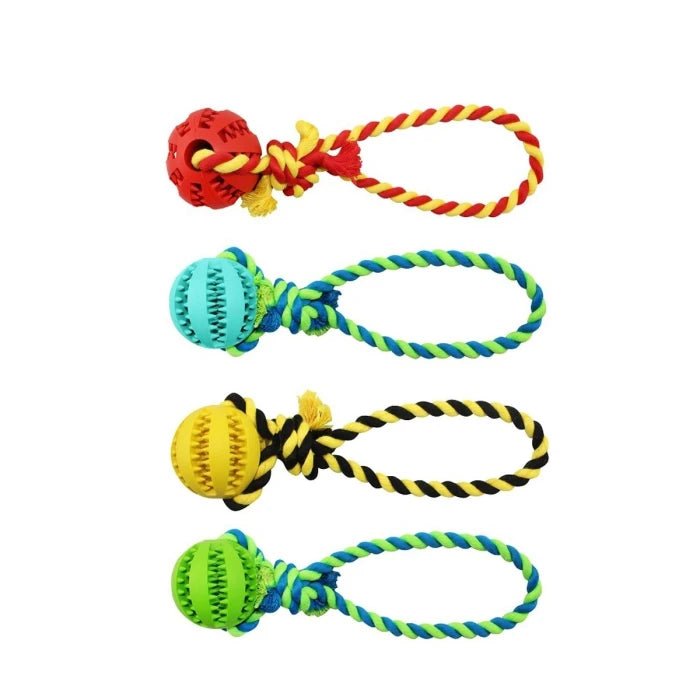 Juguete Warrior Bola Con Dientes Y Cuerda - Pethome