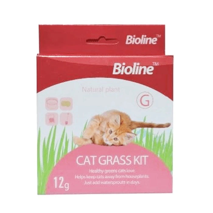 Kit De Pasto Para Gatos - Bioline Cat Grass Kit - imagen 1