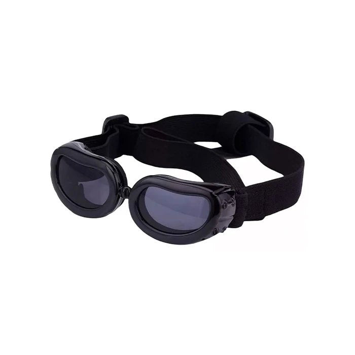 Lentes para perros - Pethome