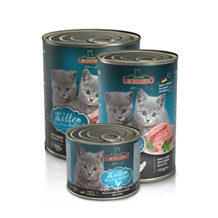 Leonardo Latas Quality Kitten - Pethome