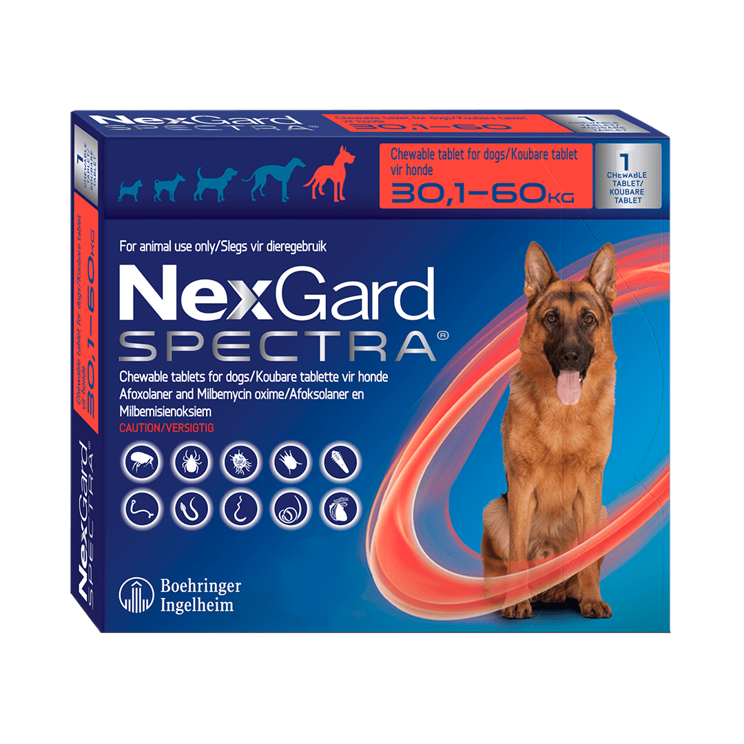 Nexgard Spectra Antiparasitario 1 Comprimido - Pethome