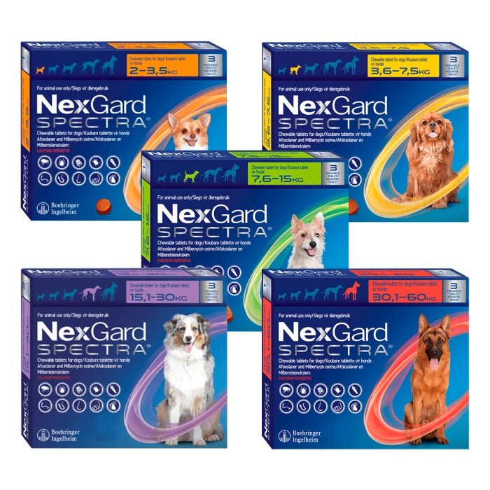 Nexgard Spectra Antiparasitario 3 Comprimido - Pethome