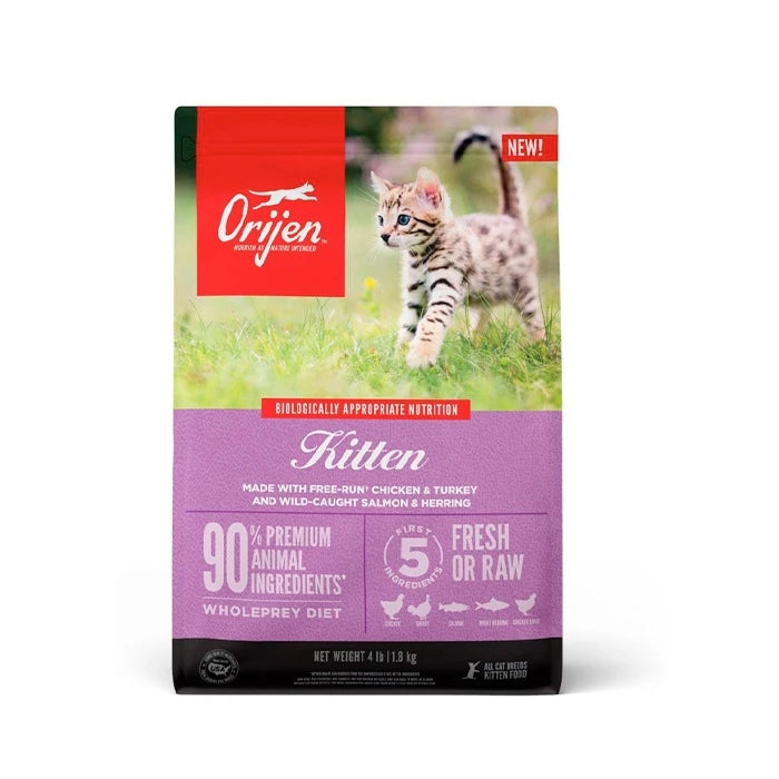 Orijen Kitten