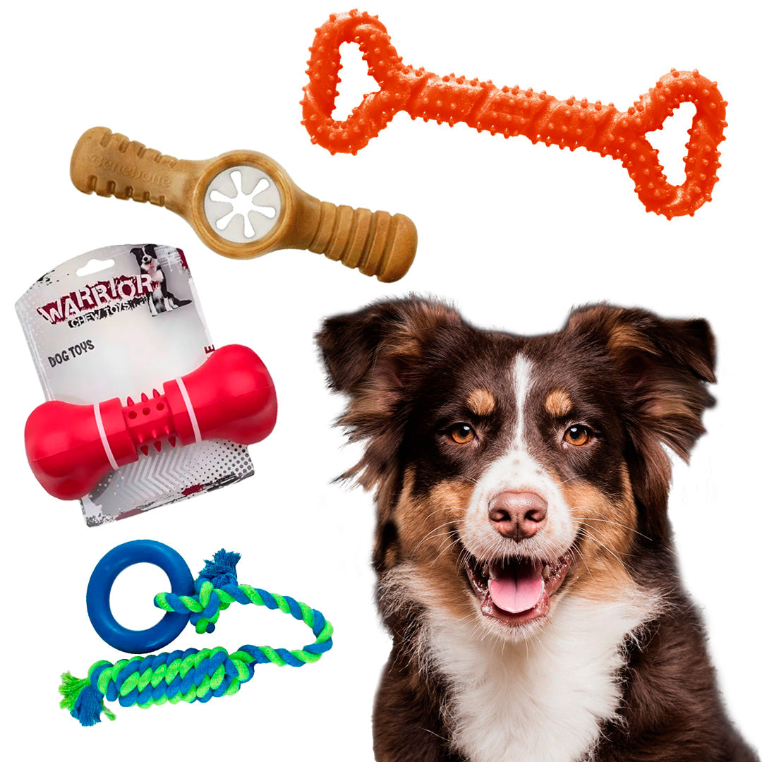 Pack Juguete Perro L - Perros Razas Medianas y Grandes