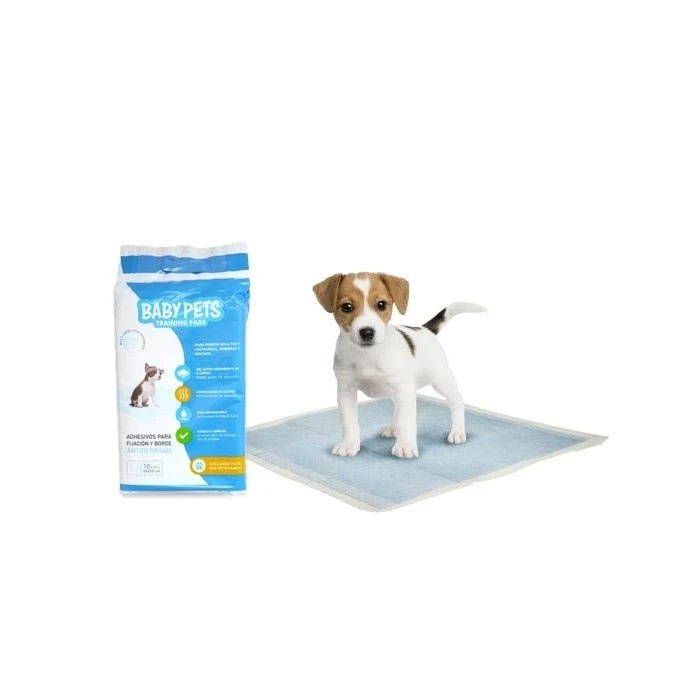 Pañal adiestramiento 60 x 60 10 unidadestp10 - Pethome