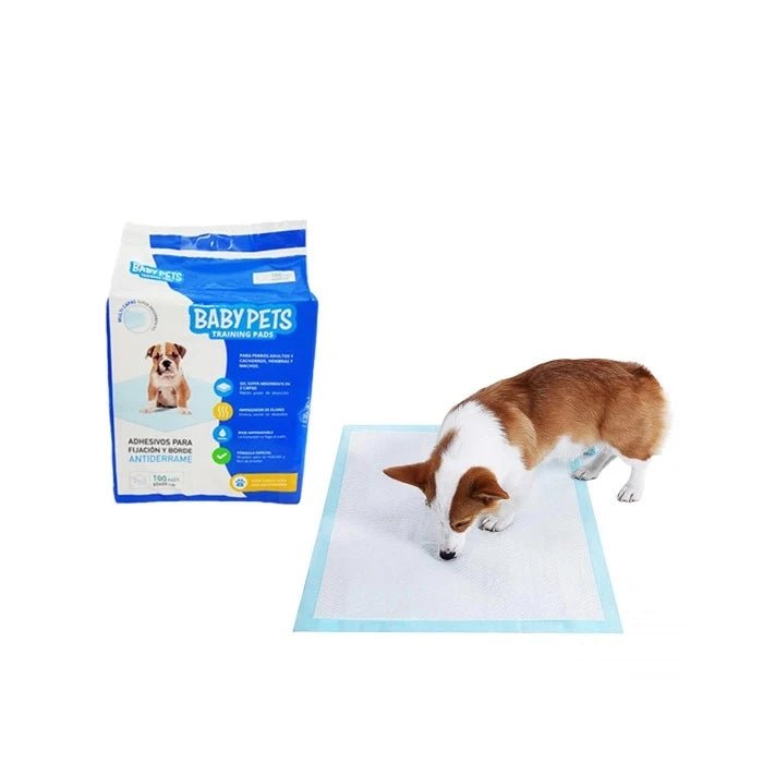 Pañal adiestramiento 60 x 60 - Pethome