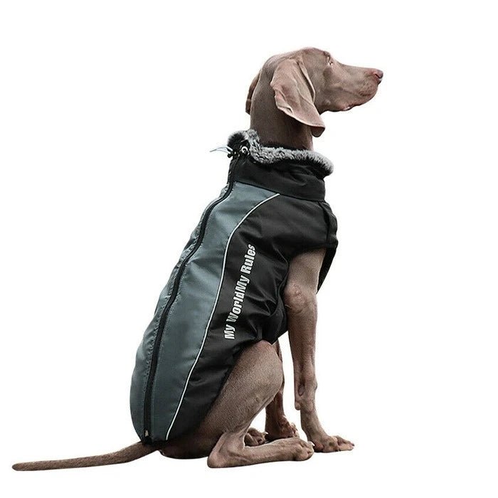 Parka Para Perro Grande Gris oscuro - Pethome