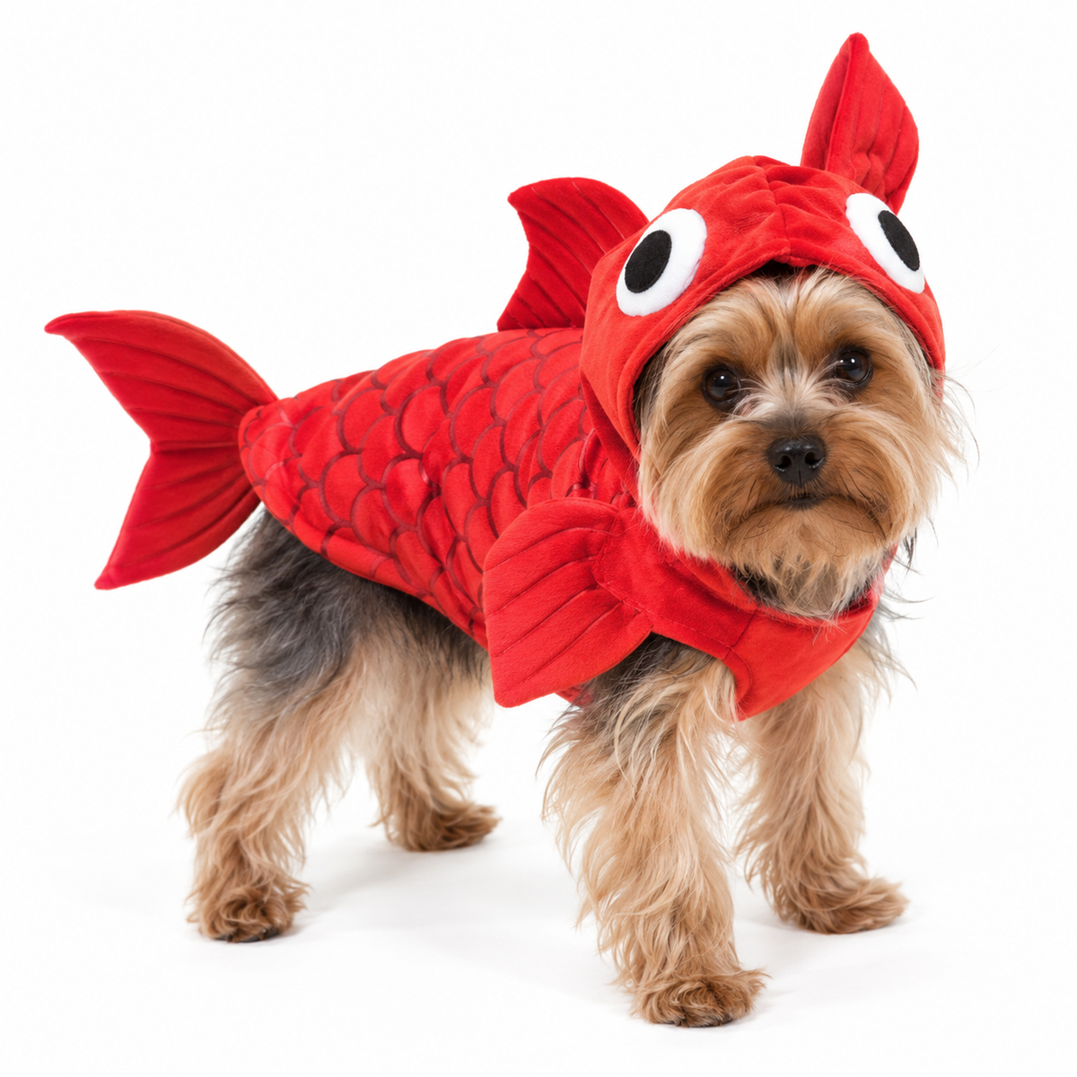 Disfraz de Pez Goldfish para perros y gatos en mascota real