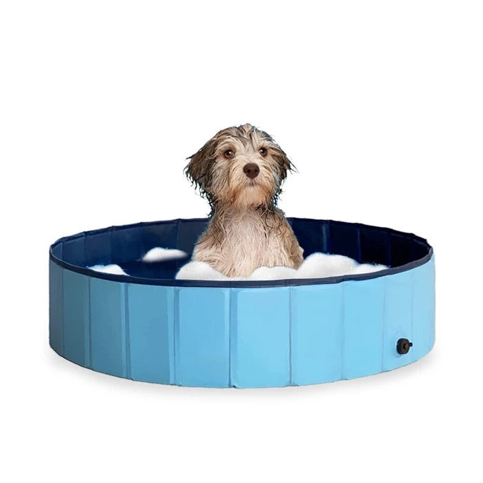 Piscina para Perros azul