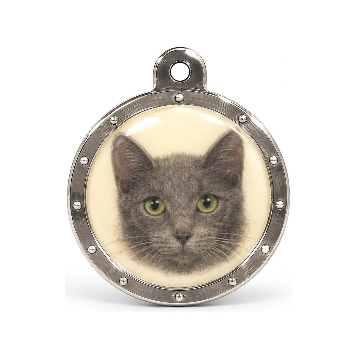 Placa de identificación personalizada Gato gris con grabado - Pethome