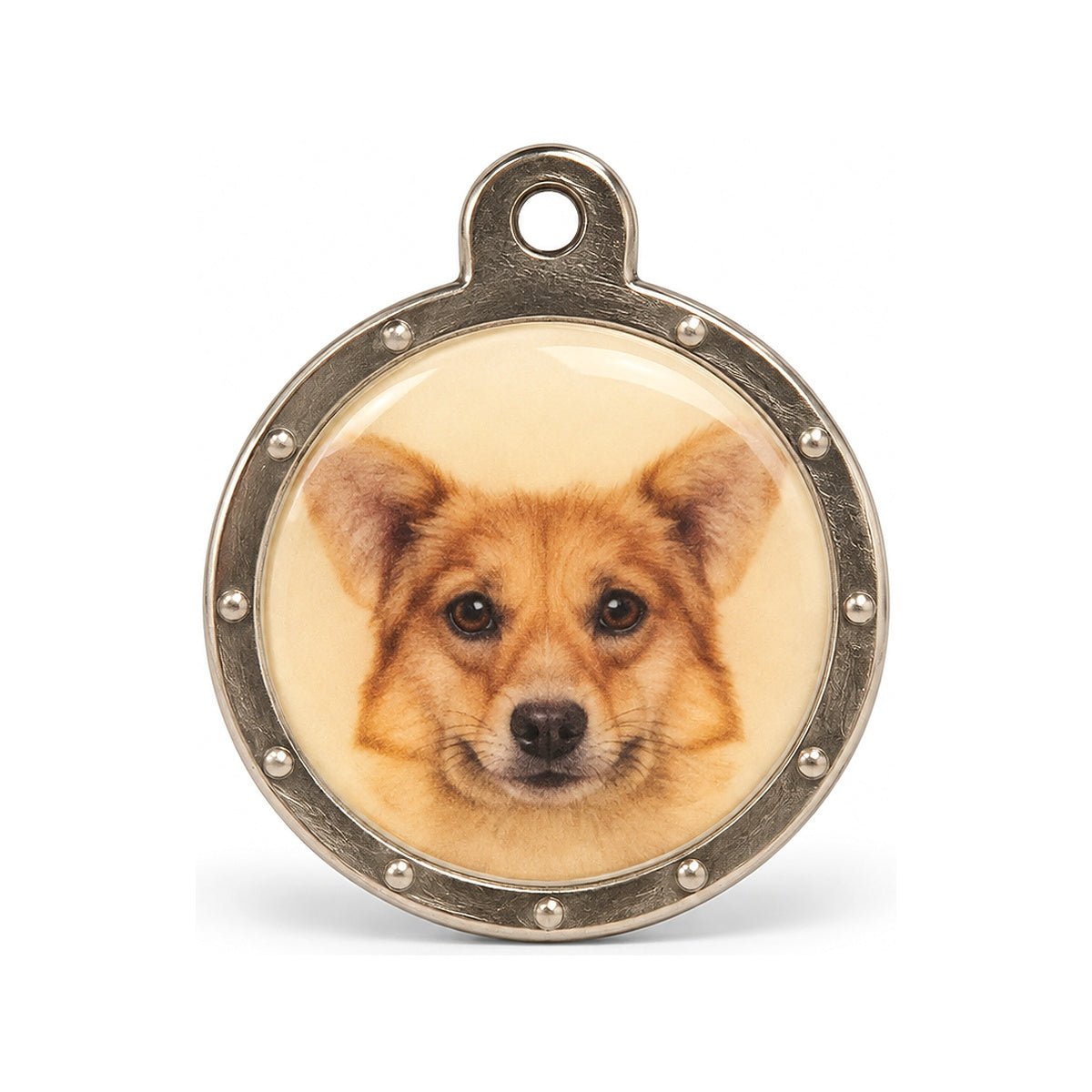 Placa de identificación personalizada Perro beige con grabado - Pethome