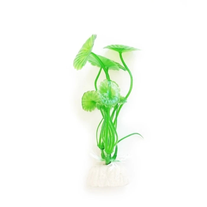 Planta Pequeña de Adorno para Acuarios