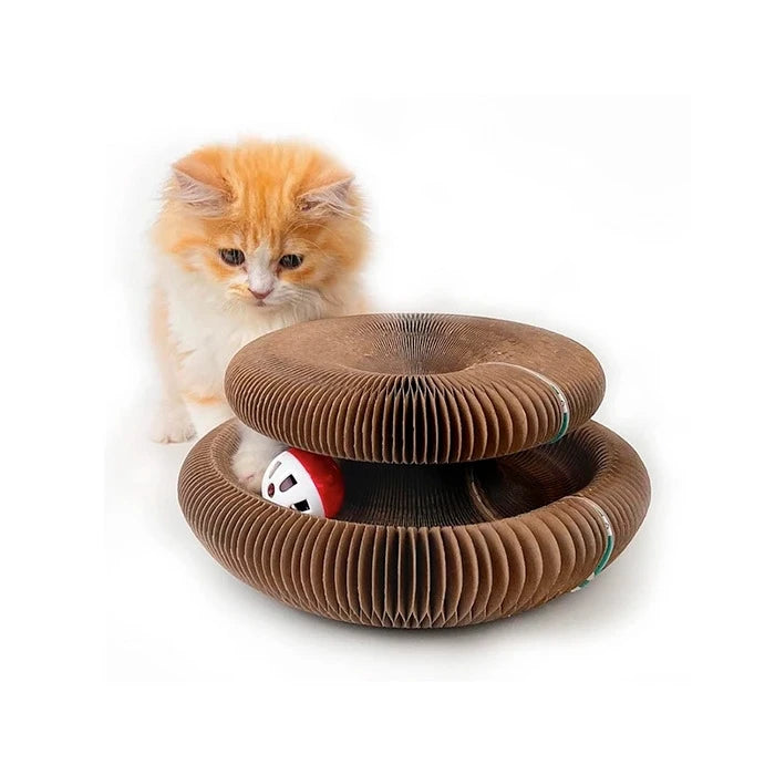 Rascador organico cerrado con pelota para gatos - imagen 1