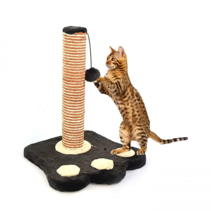 Rascador Simple con juguete - Pethome