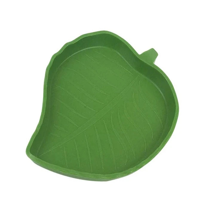 Recipiente Diseño Hoja Para Reptiles - imagen 1