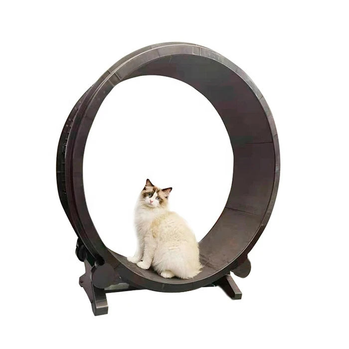 Rueda de Ejercicio para Gatos - imagen 1