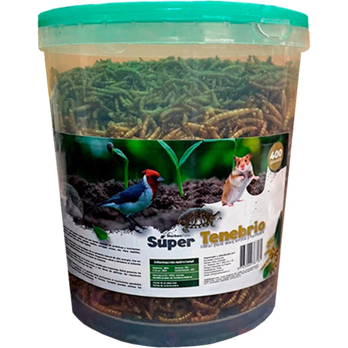 Super Tenebrios para Erizos y Reptiles - imagen 1