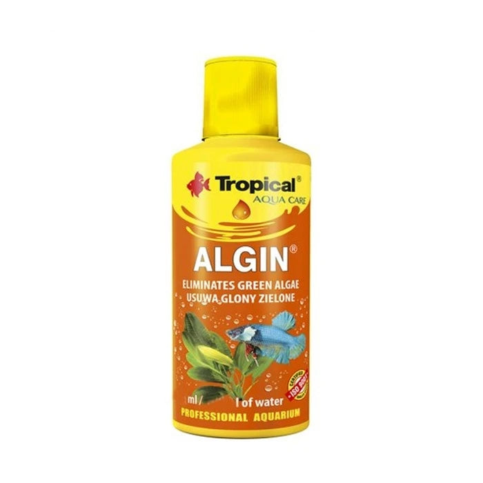 Tropical Algin
