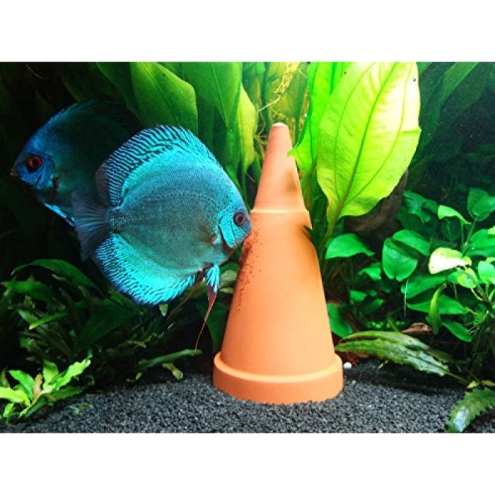 Tropical Cono de Desove Kegel para Discos - imagen 1