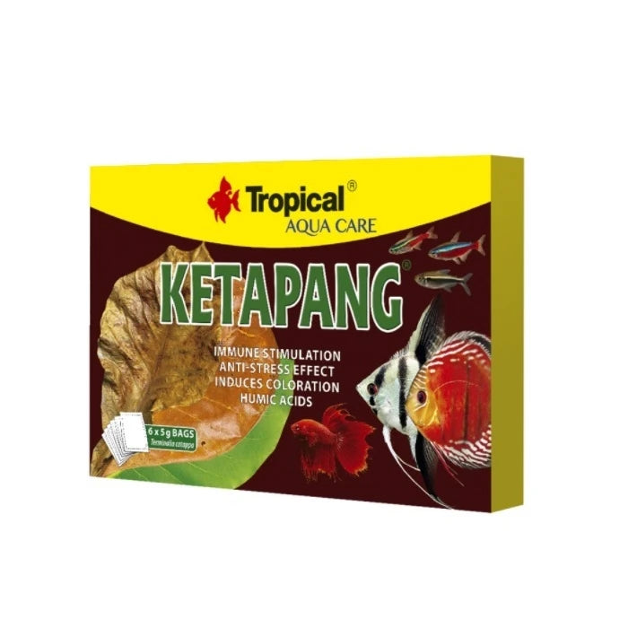 Tropical Ketapang (Sachet de 6 Unidades De 5 Gr) - imagen 1