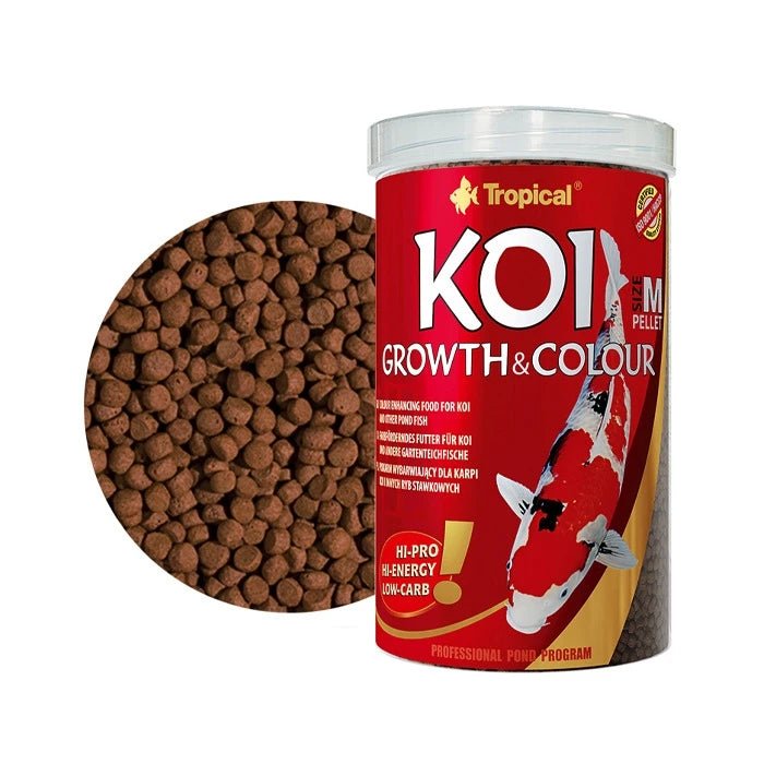 Tropical Koi Growth Color Pellet - Pethome
