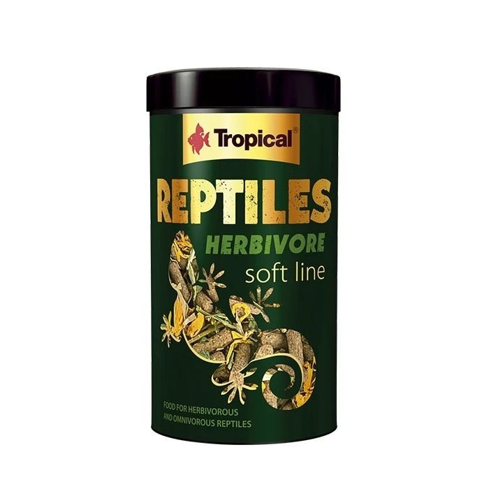 Tropical Reptiles Herbivore - Pethome