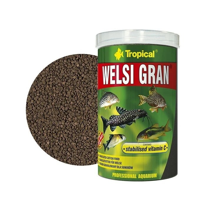 Tropical Welsi Gran - Pethome
